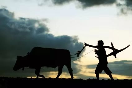 上海姓氏,上海姓氏人口排名