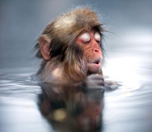 日本的泡澡文化,日本泡澡传统