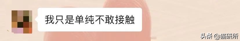 为什么猫咪那么傲娇还有人喜欢,猫咪这么可爱怎么有人舍得伤害