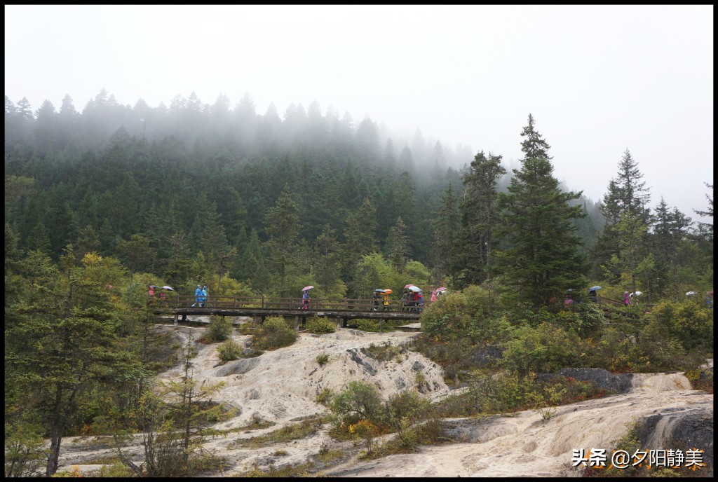 九月走进九寨：雨中游黄龙