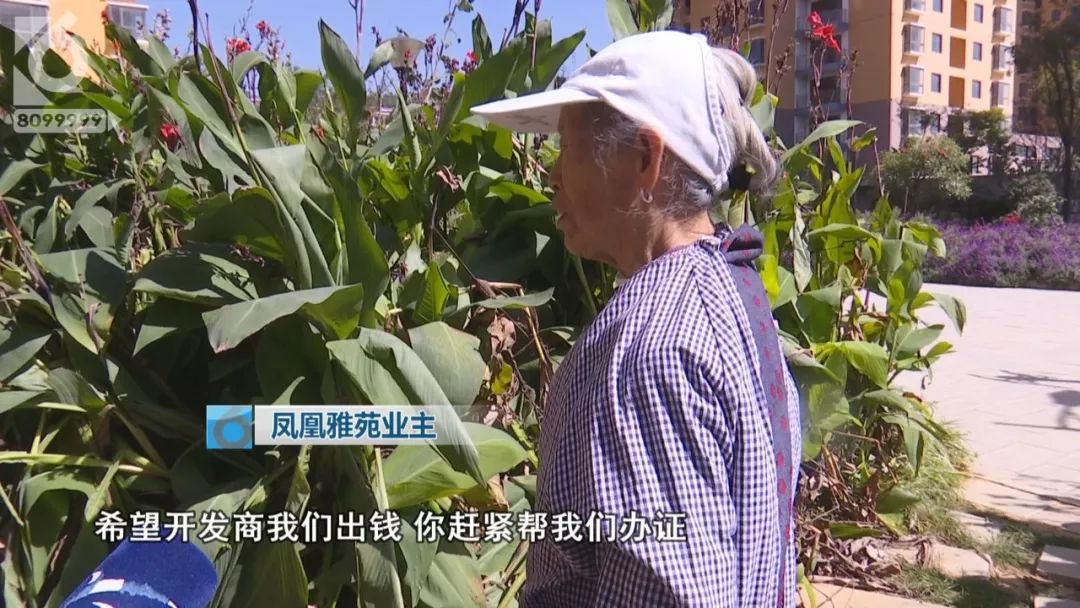 官渡区凤凰雅苑最新处理情况,昆明云路裕庭小区