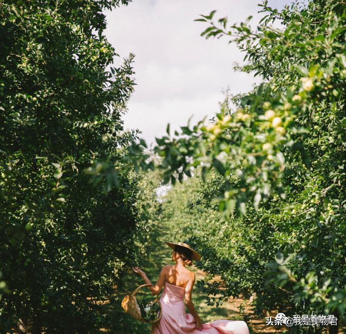 夏天的味道是淡淡的香味很好闻,夏天的味道小清新卡点