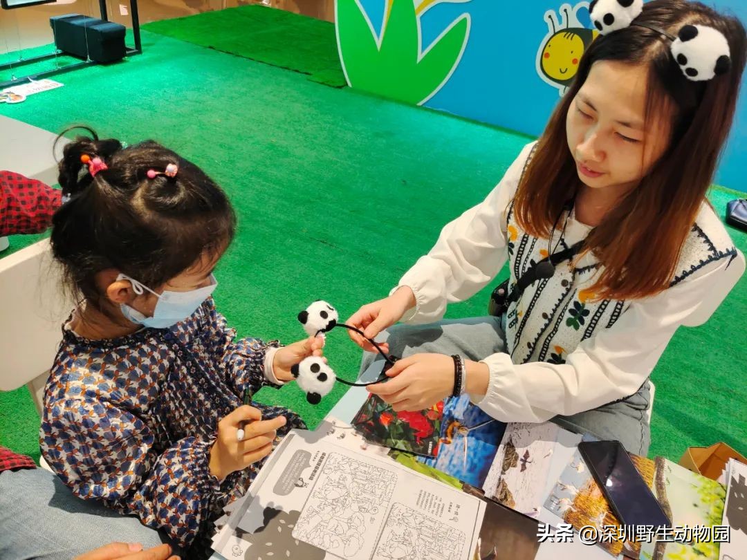 聆听奇趣虫语，发现自然之美