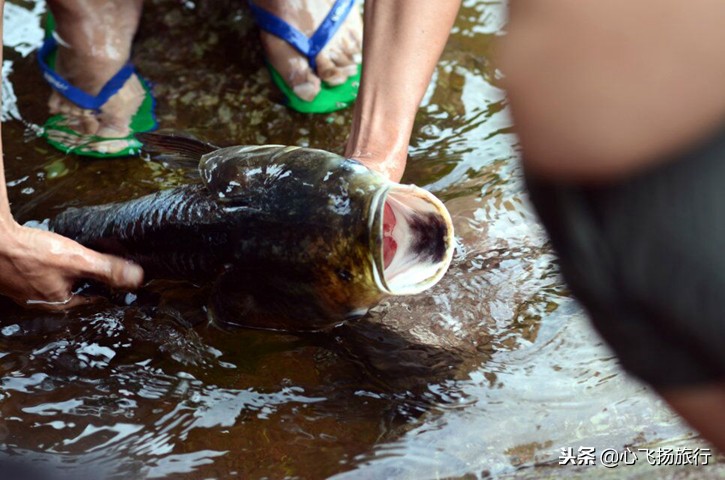 防城港扶隆白石牙水库,我爱休闲