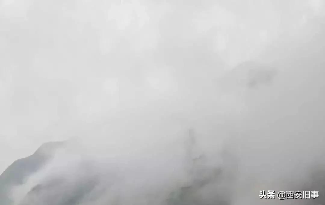 无拙庄主简介,无拙