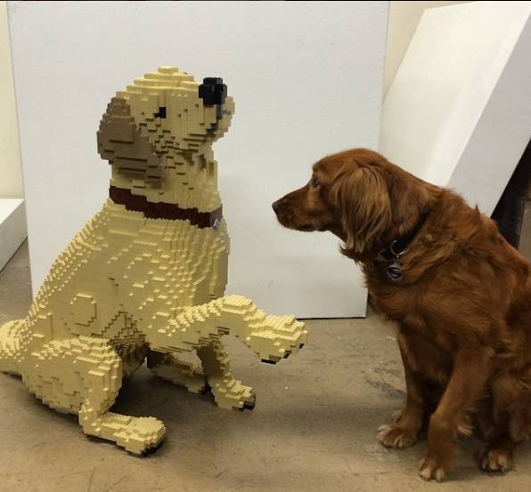 乐高大师拼积木有多牛,乐高拼装大神啥都能拼