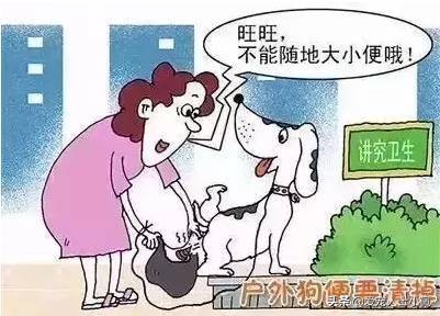 狗狗缺钙的表现怎么治疗,怎么看狗狗缺钙不缺钙