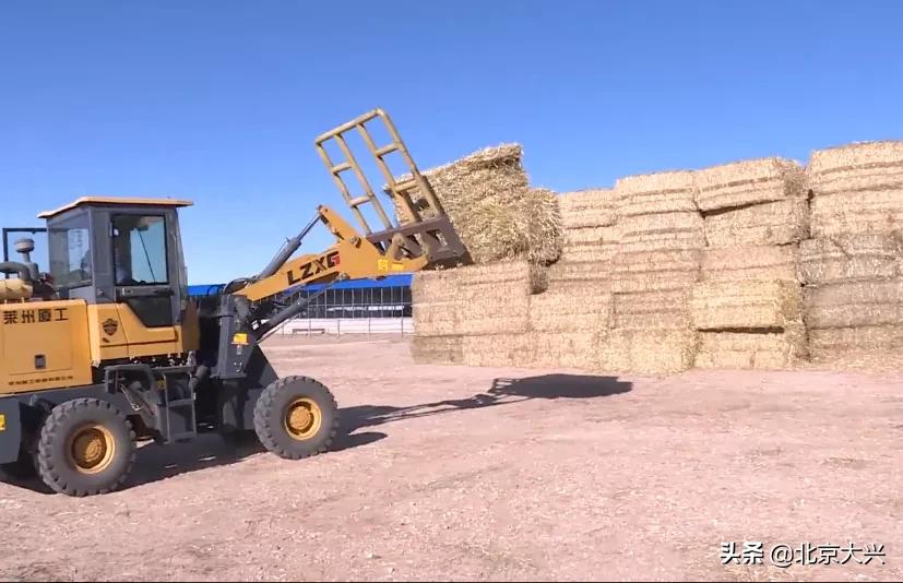 产业扶贫的8种主要帮扶模式,扶贫模式助力精准扶贫