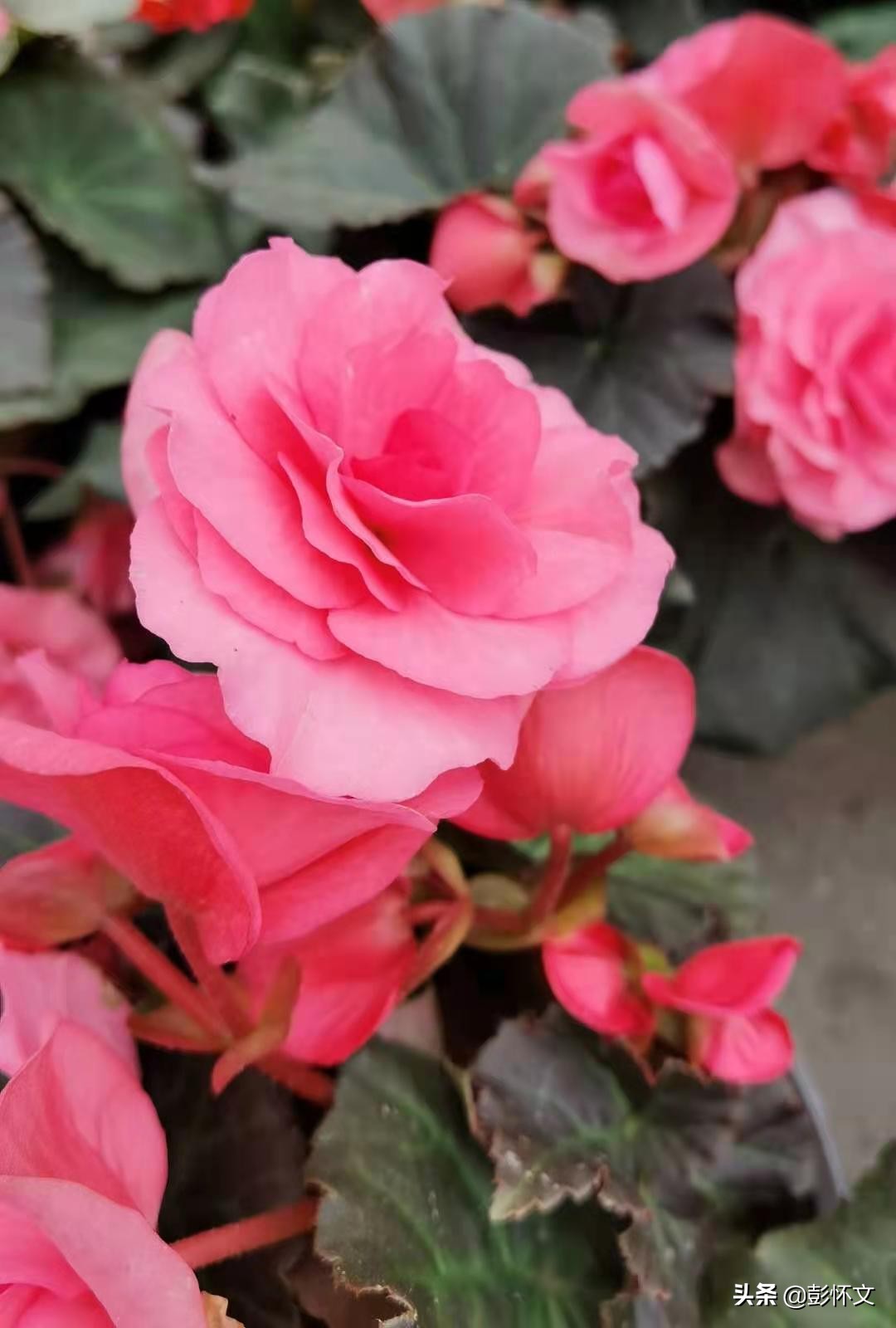 最新财税问题解答问题合集,最新财税知识解答大全