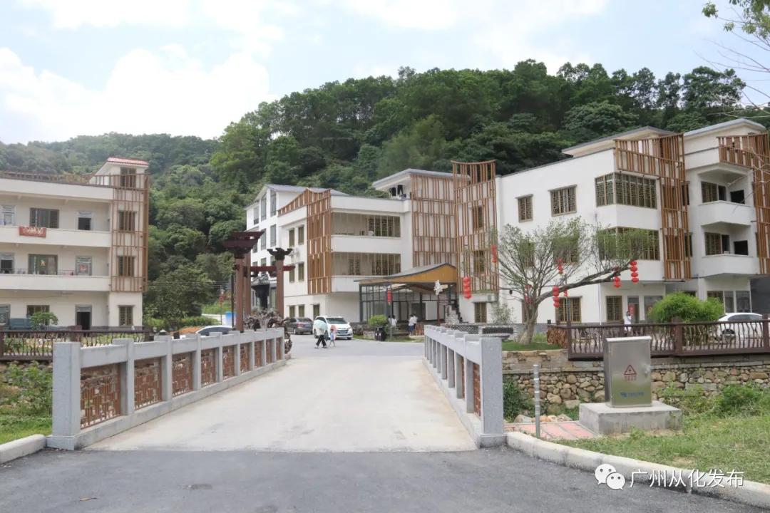 广州从化荔枝公益系列,广州从化公益荔枝