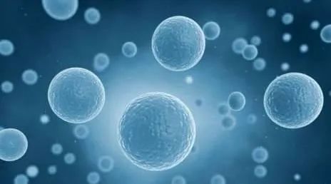 抗衰老的重要物质胶原蛋白肽,抗衰老成分胶原蛋白