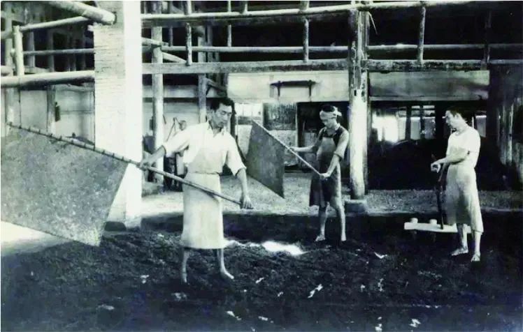 泸州老窖投资收益,泸州老窖值得长线投资