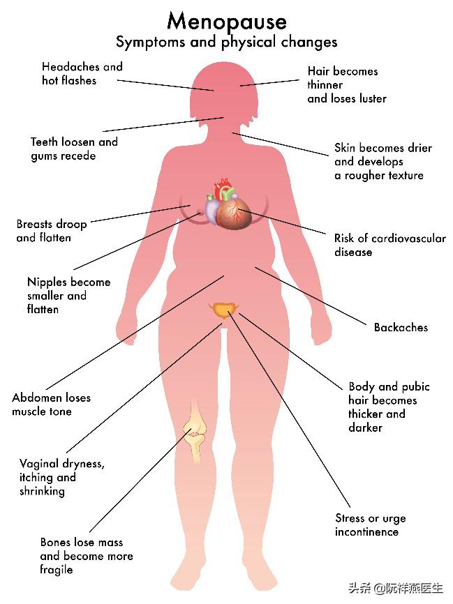 卵巢为什么会早衰,卵巢早衰也会导致闭经吗