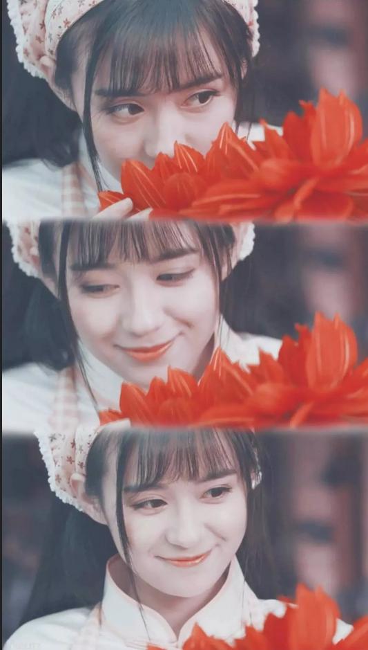 娱乐圈类重生言情小说推荐,有什么好看的重生娱乐圈小说推荐