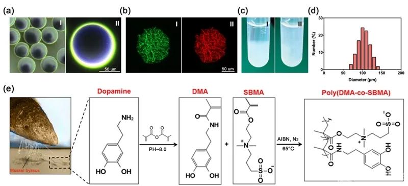 神奇磁浮球,神奇微球如何颠覆传统医美