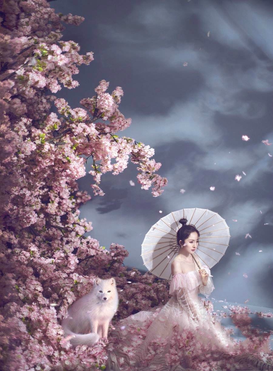 时尚芭莎杨幂图片超清,镜头中的杨幂造型时尚