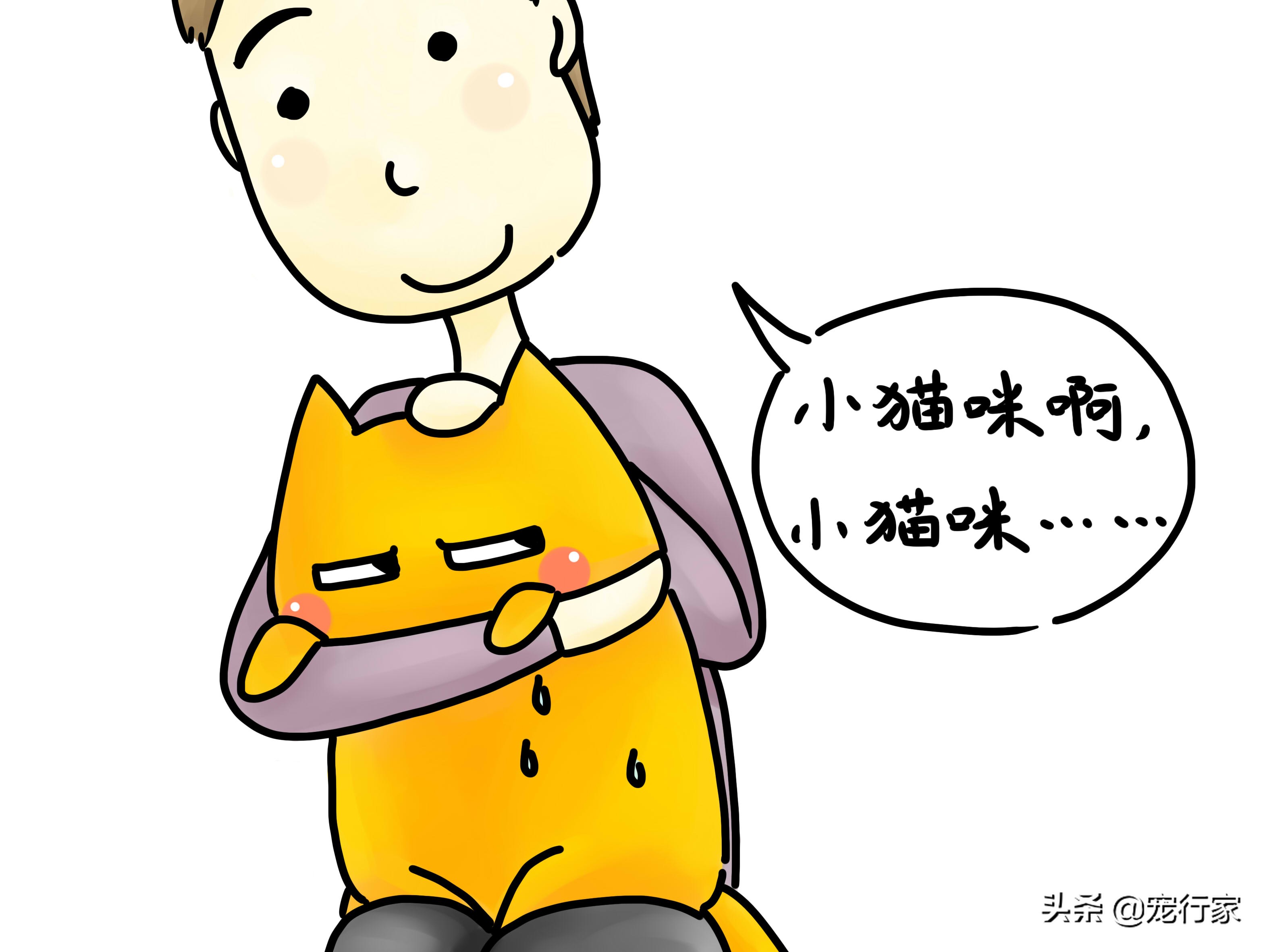 先天性失聪的猫咪能和猫咪交流吗,如何养一只耳聋的猫