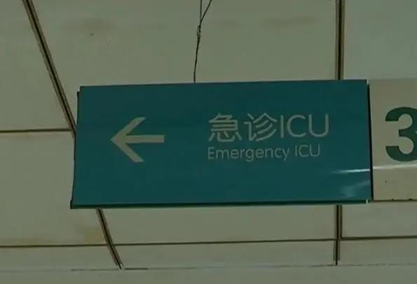 男子吃这鱼中毒,医生:无解药!曾有人误食身亡