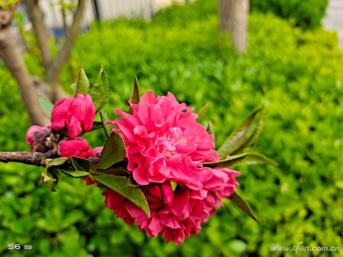 vivos6手机值得入手吗,vivos6靓丽外观年轻人5g手机