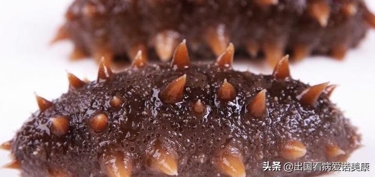 癌症病人吃海参能使肿瘤长得快吗,癌症患者吃海参有什么功效