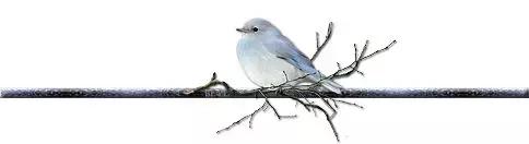 厚黑学脸皮要厚,厚黑学人生必读