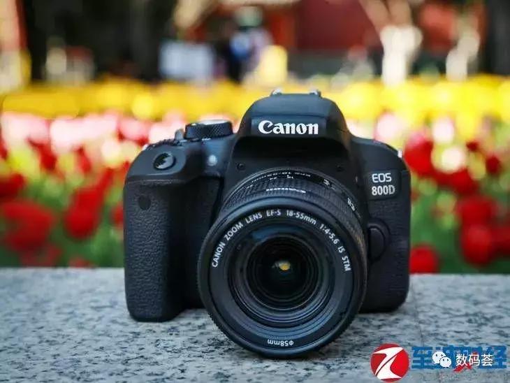 佳能入门级单反eos800d怎么样,佳能800d与尼康800d哪个好