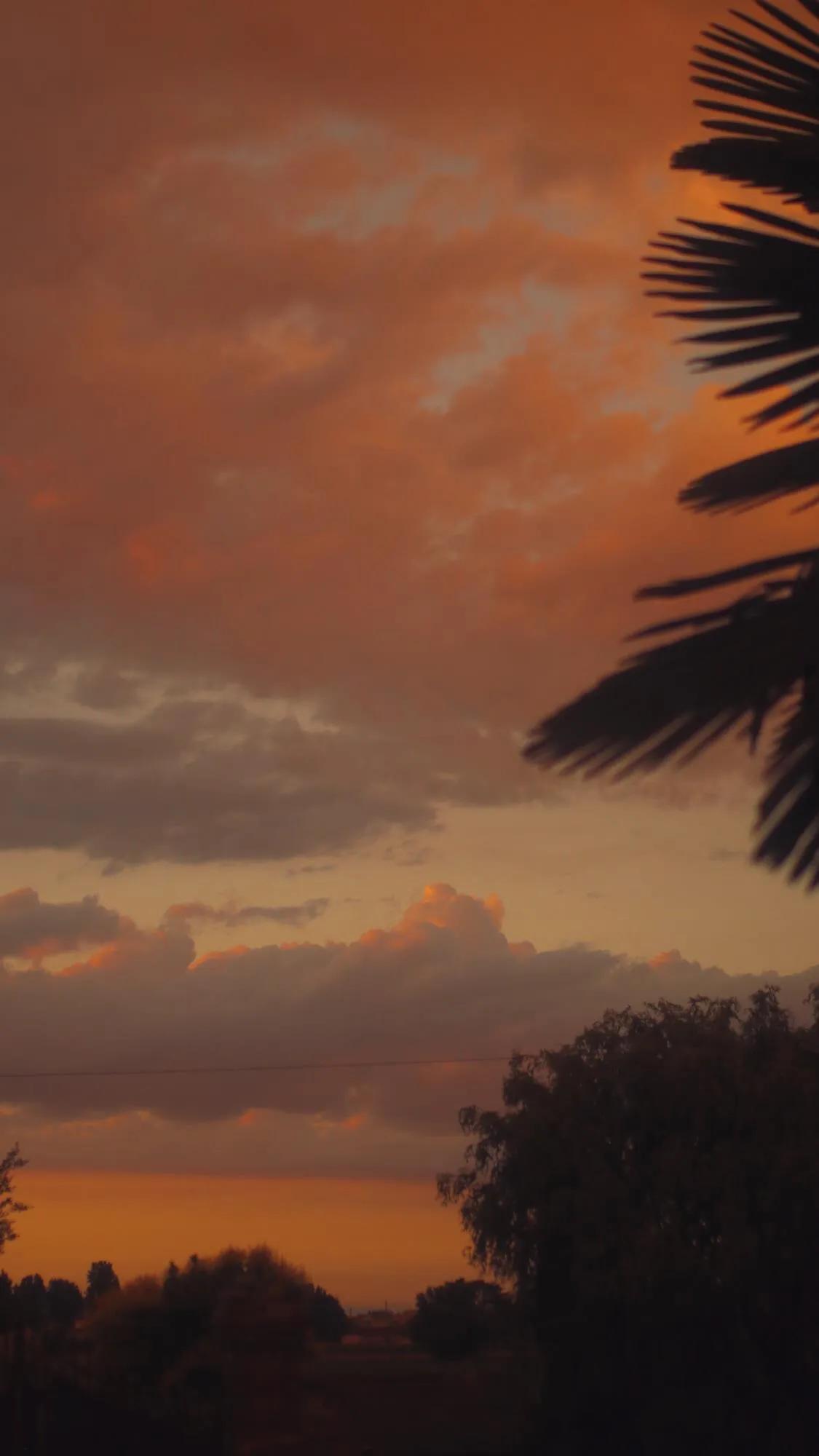 亚马逊跨境电商如何从速卖通代发,跨境电商采购亚马逊速卖通