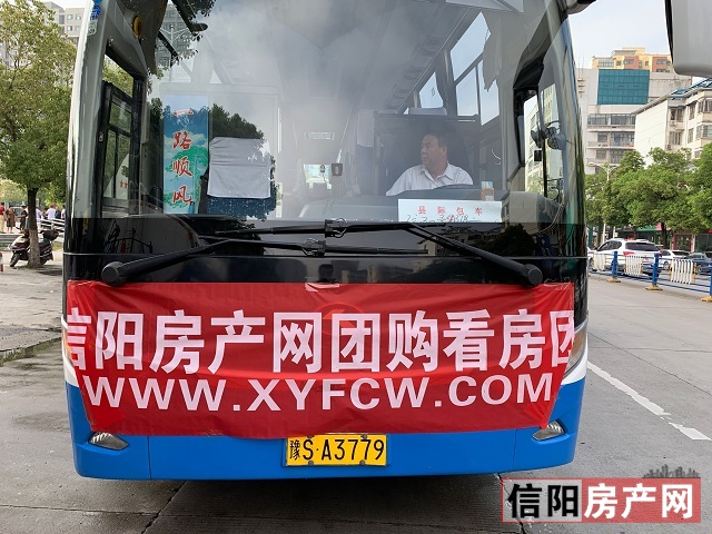 淇¢槼妤煎競鐏垎鍦洪潰,淇¢槼妤煎競鐏垎鐜板満