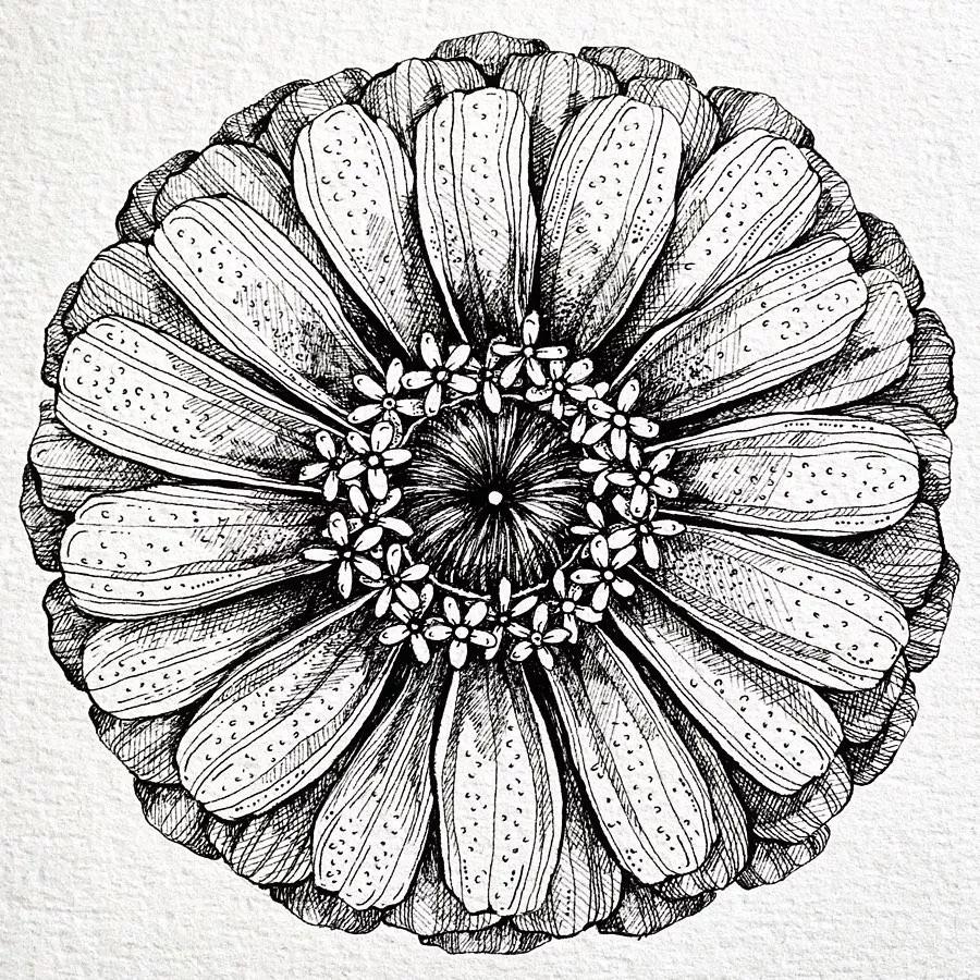 一看就懂的针管简笔画,针管笔入门手绘1000例临摹图