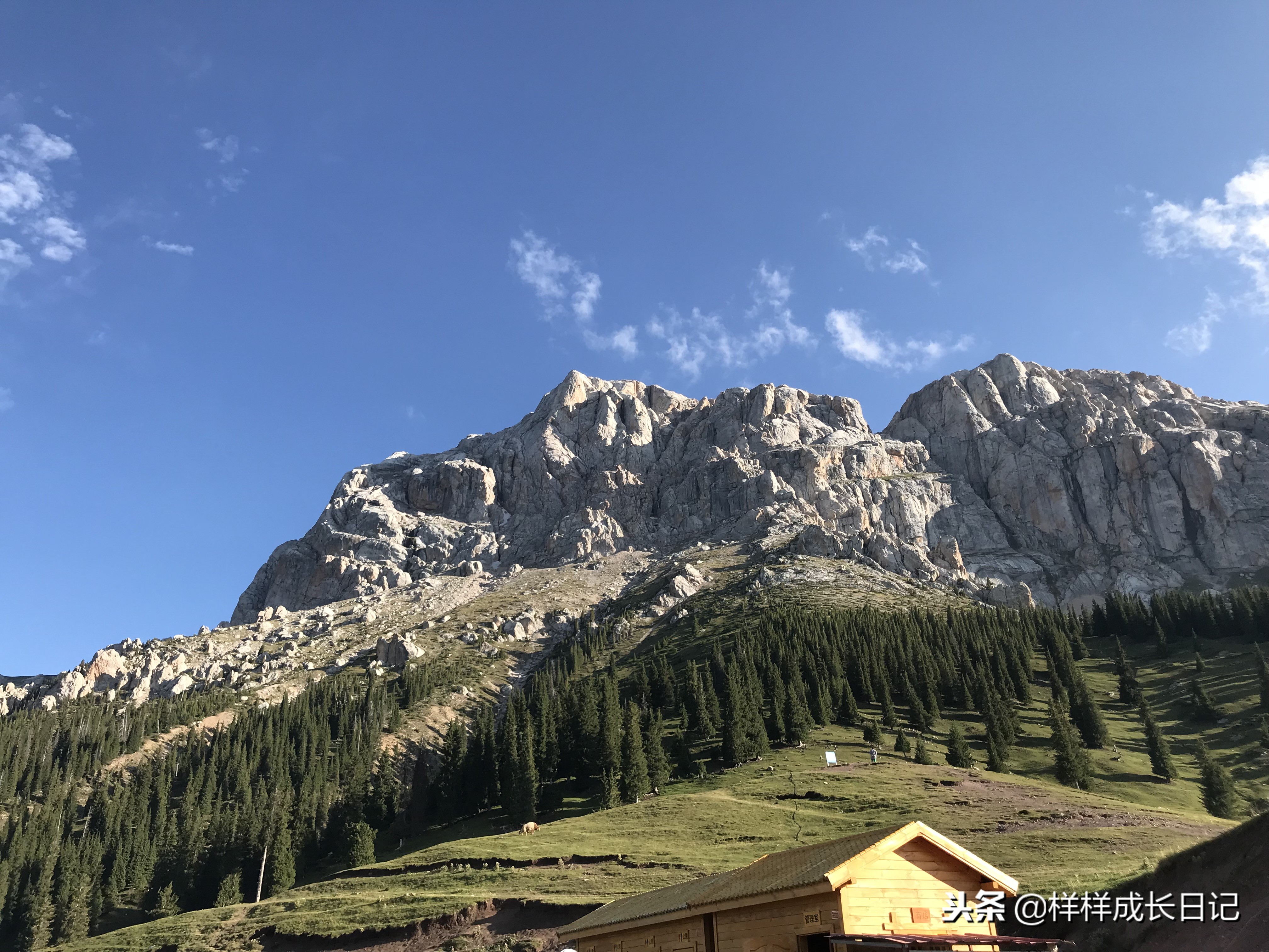 一家三口新疆伊犁旅游,自驾游霍尔果斯路线攻略