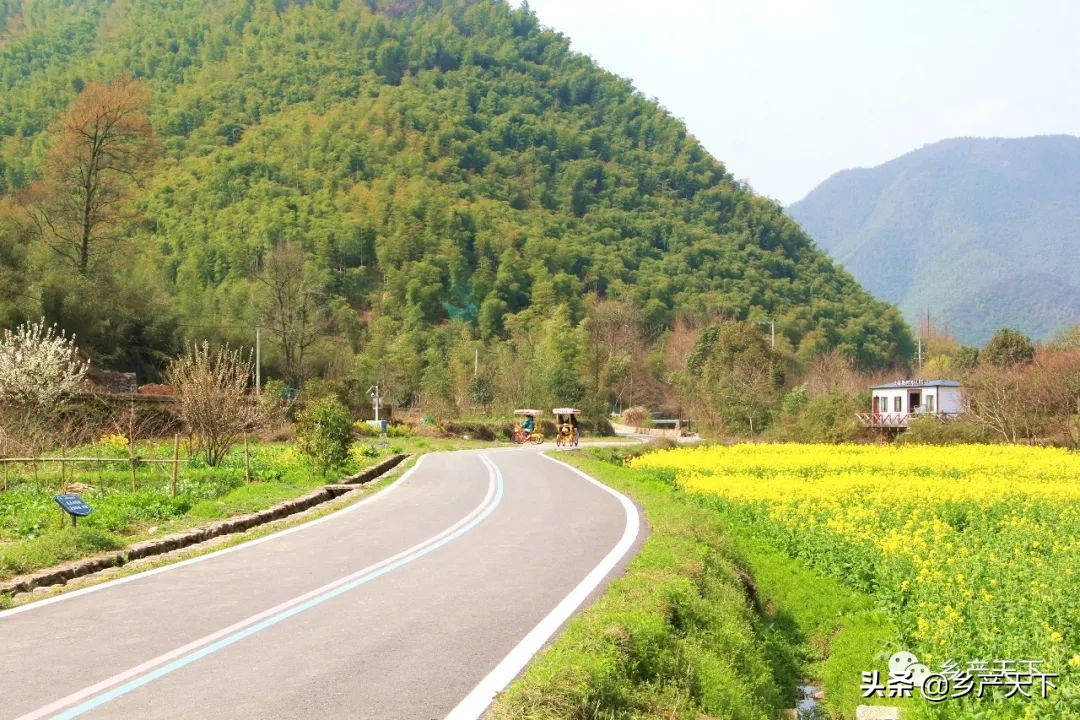 安吉旅游区,安吉深度游