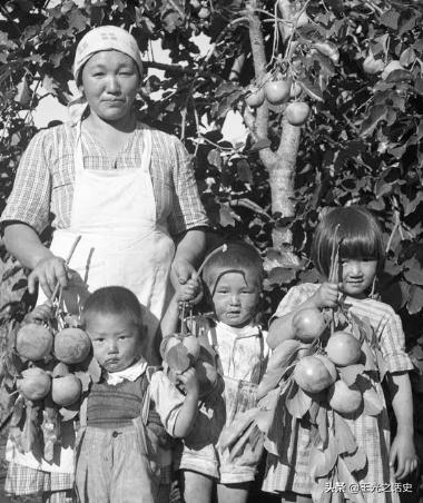 巴西为什么成为日本人的天堂,巴西号称日本人第二故乡