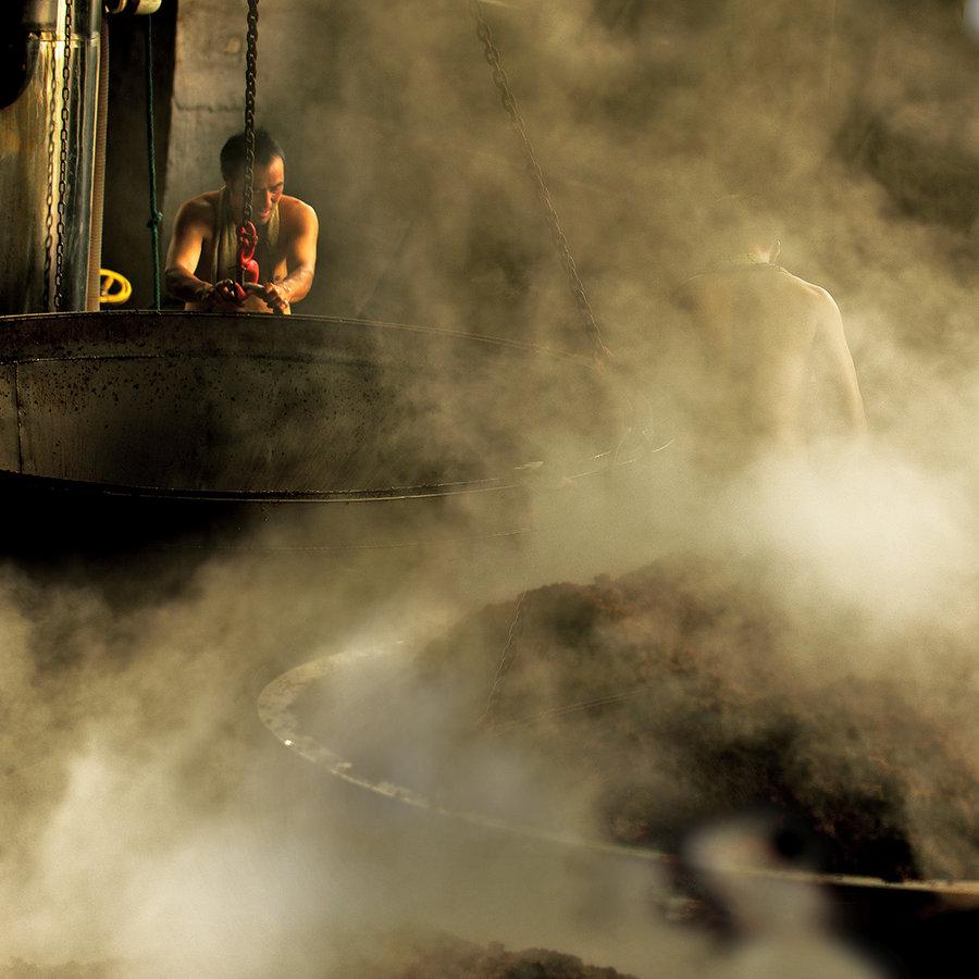 扳倒井最新消息,扳倒井酒2023