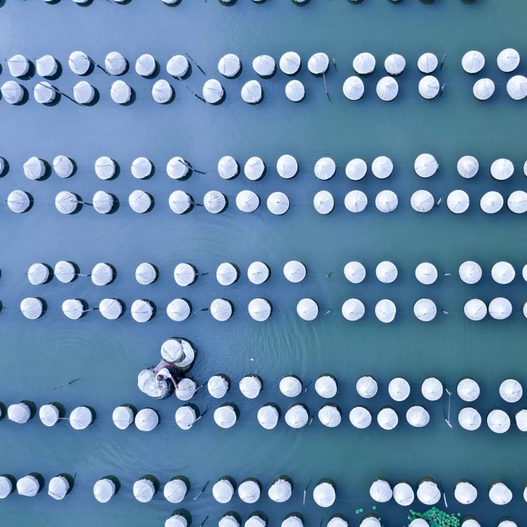 传奇徐州,无问南北