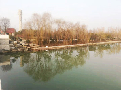 网友：“我经历了一出现实版的人在囧途”丨时疫下的普通人侧记