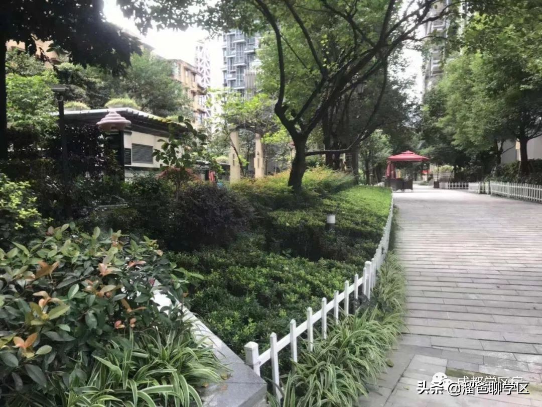 天涯石小学龙王庙正街,龙王庙正街小学属于哪个档次