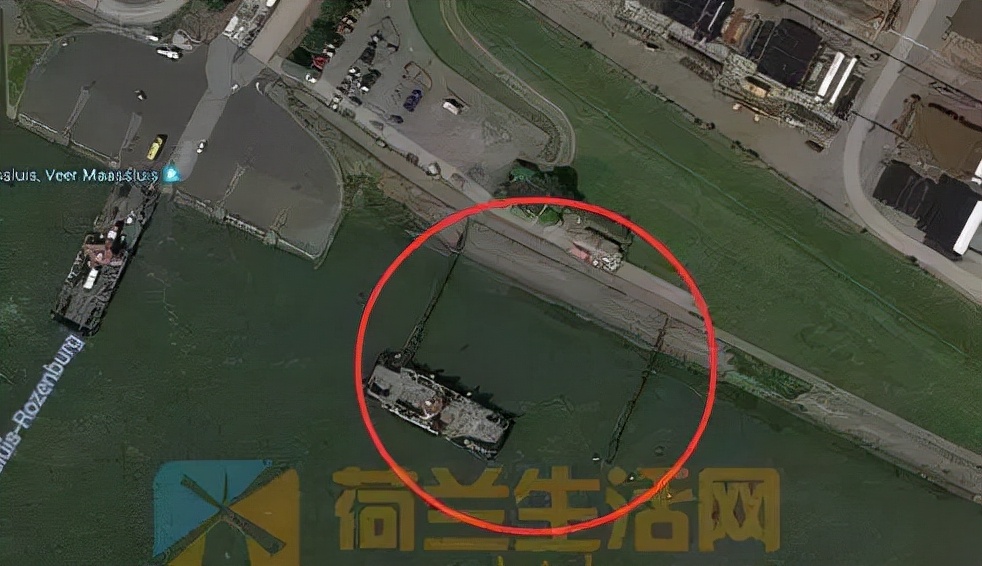 比利时大闸蟹泛滥怎么回事,来聊聊野生海鲜