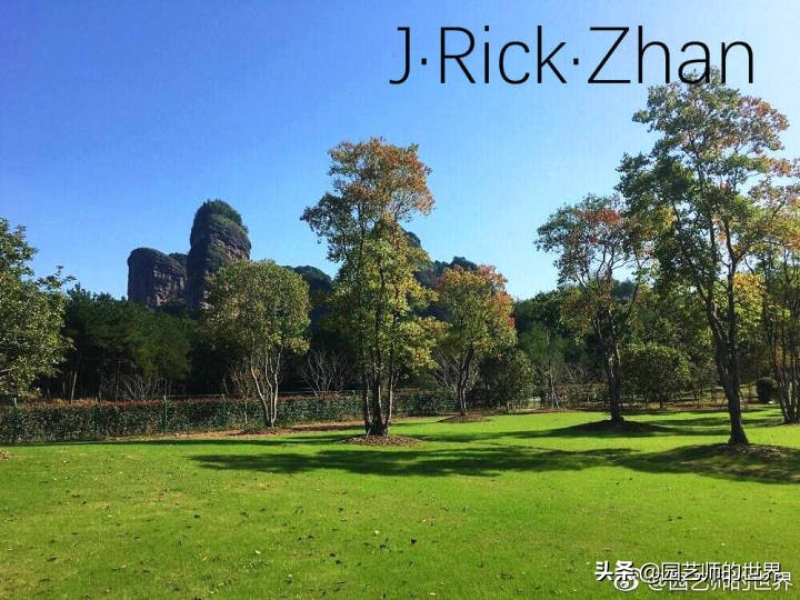 果岭草坪的种植养护方法及技巧,怎么种植一个可以躺的草坪