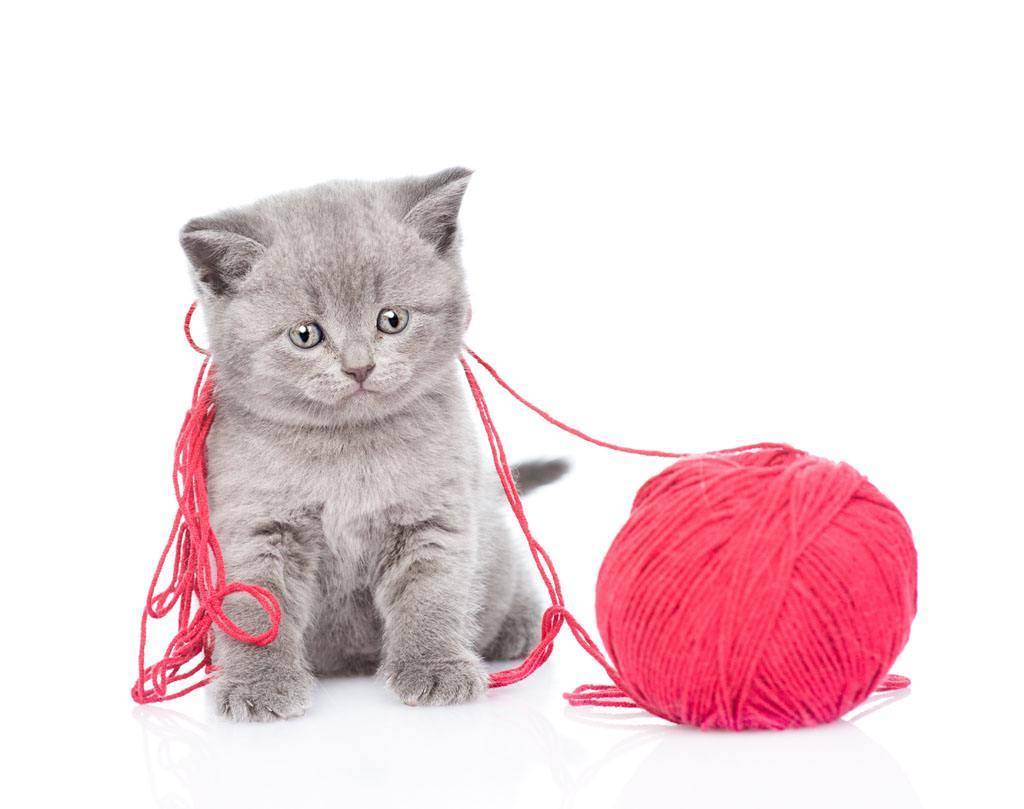 自己一针一线绣的十字绣,手残党十字绣