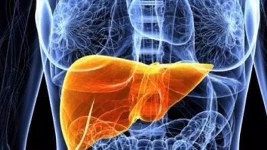 孕妇慎用药有哪些中药,孕妇慎用的中药及原因