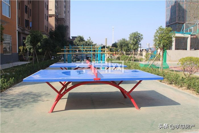 实探城际小学！东城区已招生投用学校