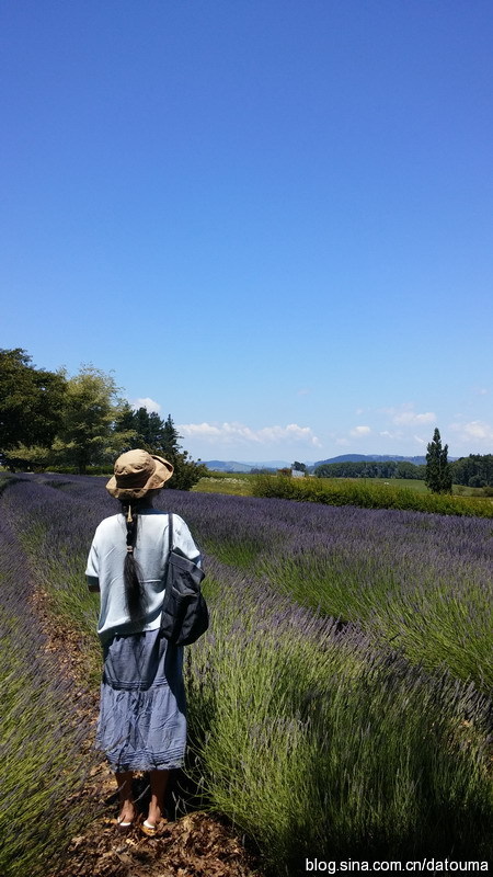 学文科的女孩,学文科最好方法