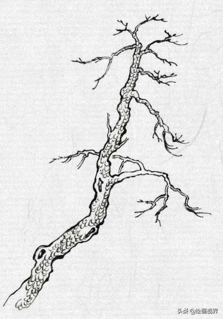 中国画零基础入门技巧,中国画传统画树技法