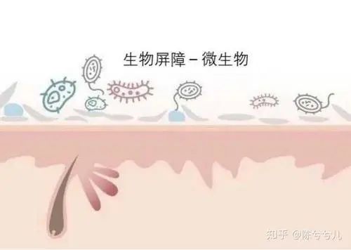 21天全测评,21天测试