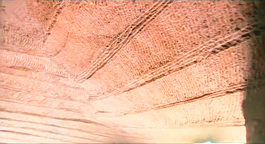 小水塘下藏着巨大山洞,水塘抽干水后专家竟然发现宫殿