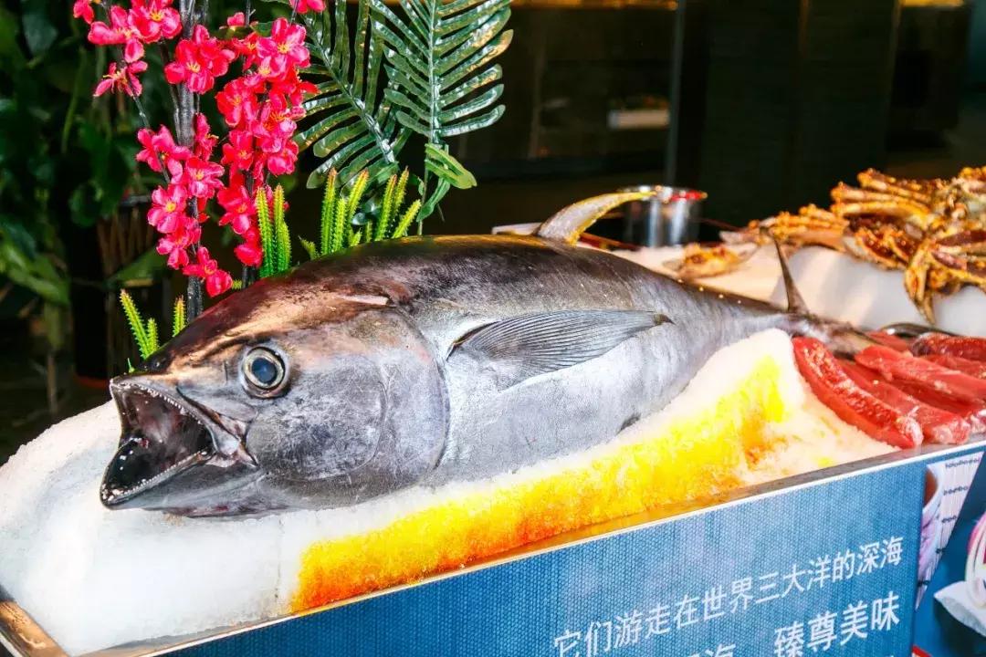 天津自助海鲜有哪些,天津加勒比海鲜自助多少钱一位