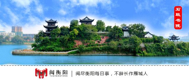 衡阳有哪十所厉害的小学,衡阳最有实力的幼儿园有哪些