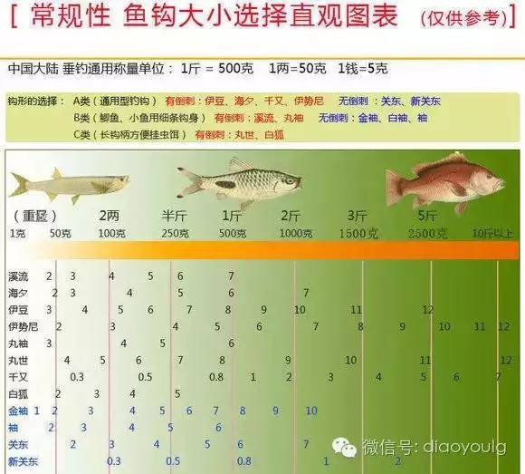 钓钩详细讲解图解大全,三钩钓鱼视频讲解