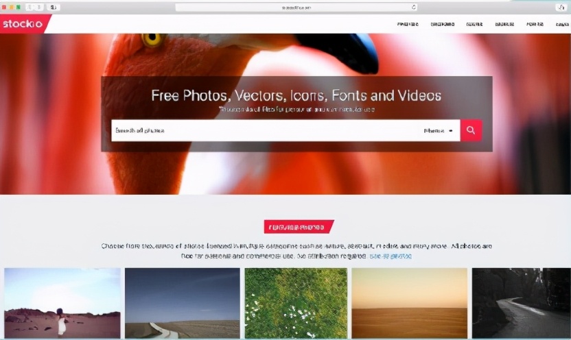 免费生活小妙招视频素材网站推荐,最新高级素材网站推荐