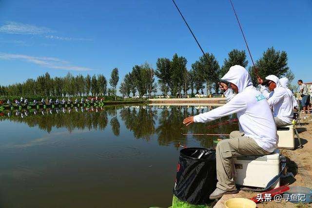 水库养殖鱼用什么饵钓,养殖塘里的鱼用什么饵料钓比较好